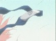 Naruto 041(25).jpg